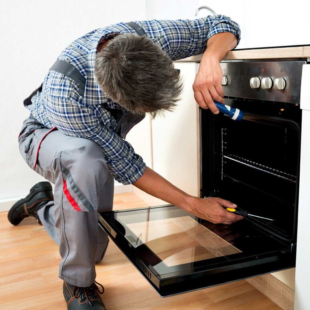 Servicio Técnico Orbis